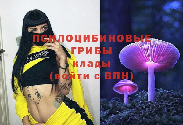гашик Алзамай