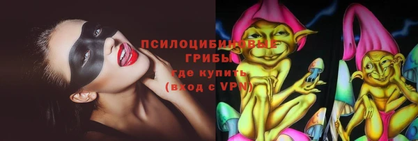 ПСИЛОЦИБИНОВЫЕ ГРИБЫ Алексин