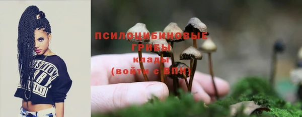 mdpv Абдулино