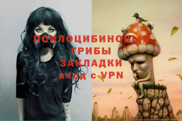 гашик Алзамай