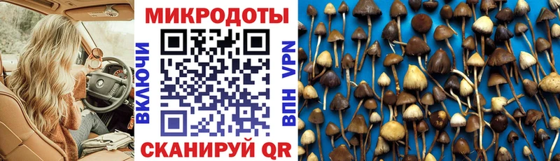 Галлюциногенные грибы Cubensis  купить наркотики сайты  Удомля 