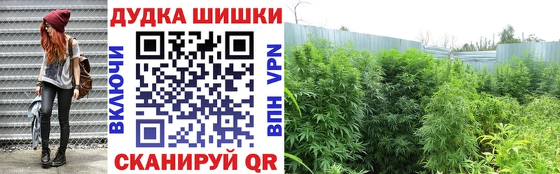 Марихуана гибрид  Удомля 